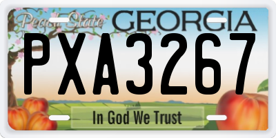 GA license plate PXA3267