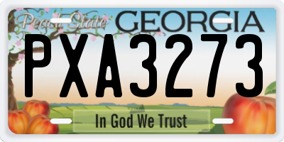 GA license plate PXA3273