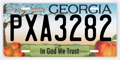 GA license plate PXA3282