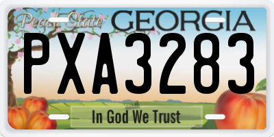 GA license plate PXA3283