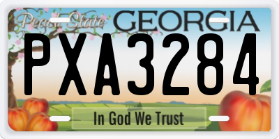 GA license plate PXA3284