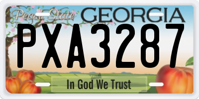 GA license plate PXA3287