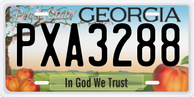 GA license plate PXA3288
