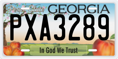 GA license plate PXA3289