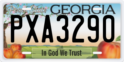 GA license plate PXA3290