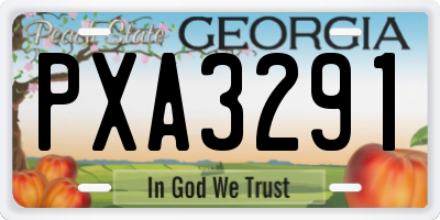 GA license plate PXA3291