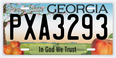 GA license plate PXA3293