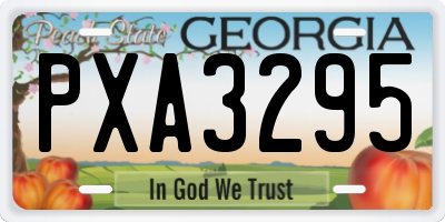 GA license plate PXA3295
