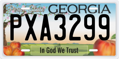 GA license plate PXA3299
