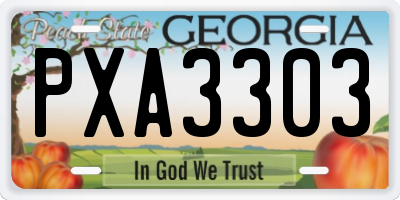 GA license plate PXA3303