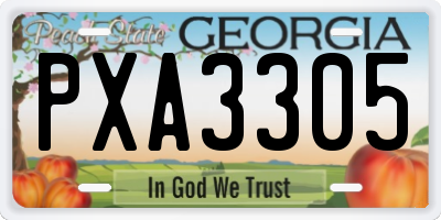 GA license plate PXA3305