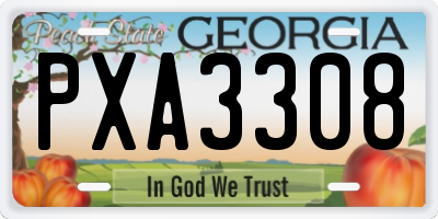 GA license plate PXA3308