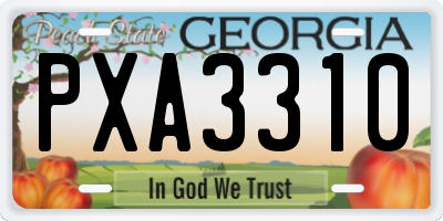 GA license plate PXA3310