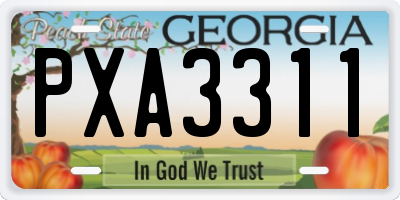GA license plate PXA3311