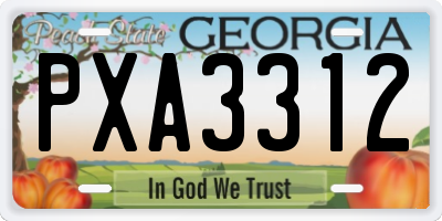 GA license plate PXA3312