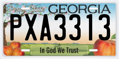 GA license plate PXA3313