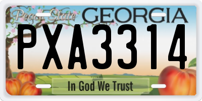 GA license plate PXA3314