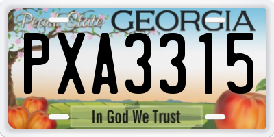 GA license plate PXA3315