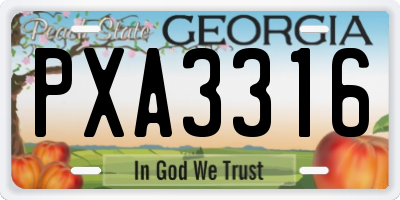 GA license plate PXA3316