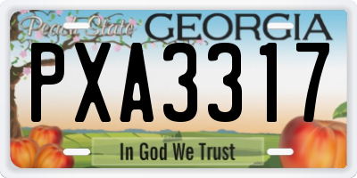 GA license plate PXA3317