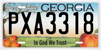 GA license plate PXA3318