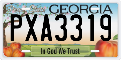GA license plate PXA3319