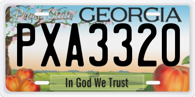 GA license plate PXA3320