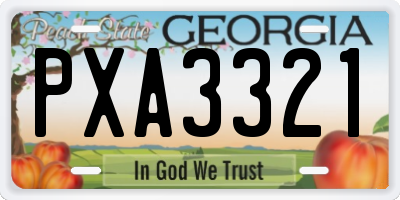 GA license plate PXA3321