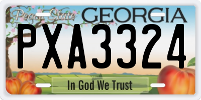 GA license plate PXA3324