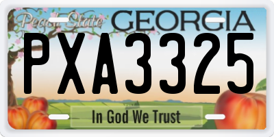 GA license plate PXA3325