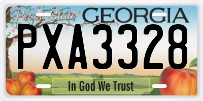GA license plate PXA3328