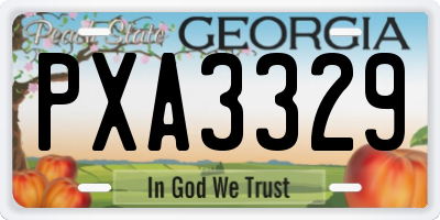 GA license plate PXA3329