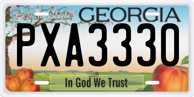 GA license plate PXA3330