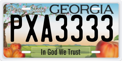 GA license plate PXA3333