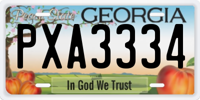 GA license plate PXA3334