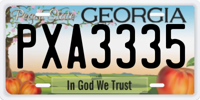 GA license plate PXA3335
