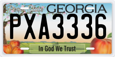 GA license plate PXA3336