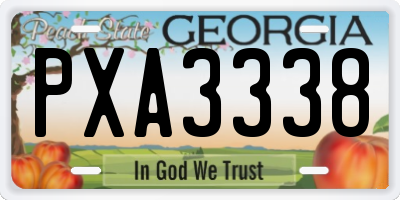 GA license plate PXA3338