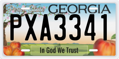 GA license plate PXA3341