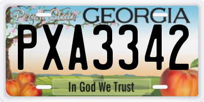 GA license plate PXA3342