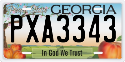 GA license plate PXA3343
