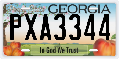 GA license plate PXA3344
