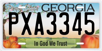 GA license plate PXA3345
