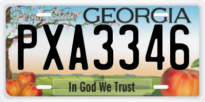 GA license plate PXA3346