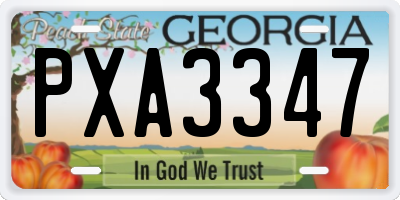 GA license plate PXA3347