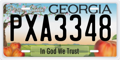 GA license plate PXA3348