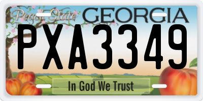 GA license plate PXA3349