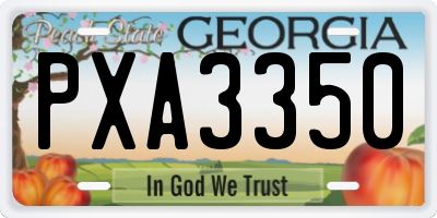 GA license plate PXA3350