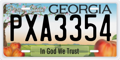 GA license plate PXA3354