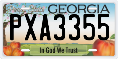 GA license plate PXA3355
